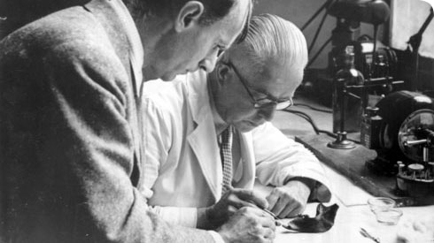 piltdown fluorine test